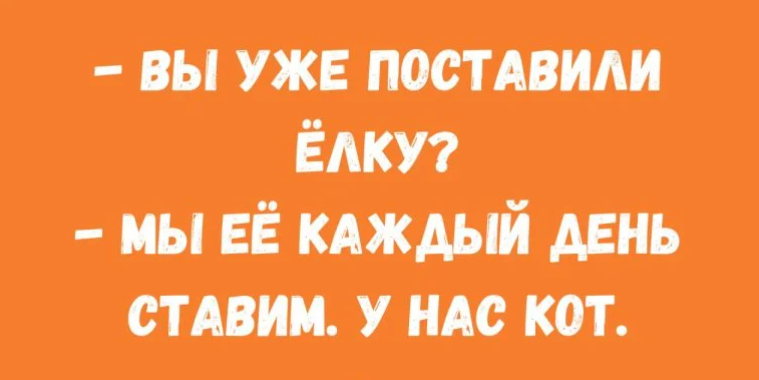 Funny picture